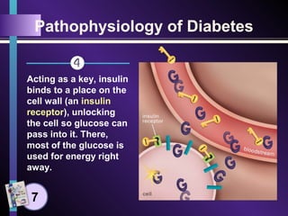Pathophysiology of Diabetes
Acting as a key, insulin
binds to a place on the
cell wall (an insulin
receptor), unlocking
the cell so glucose can
pass into it. There,
most of the glucose is
used for energy right
away.
7
 