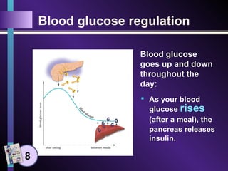 Blood glucose regulation
Blood glucose
goes up and down
throughout the
day:
8
 As your blood
glucose rises
(after a meal), the
pancreas releases
insulin.
 
