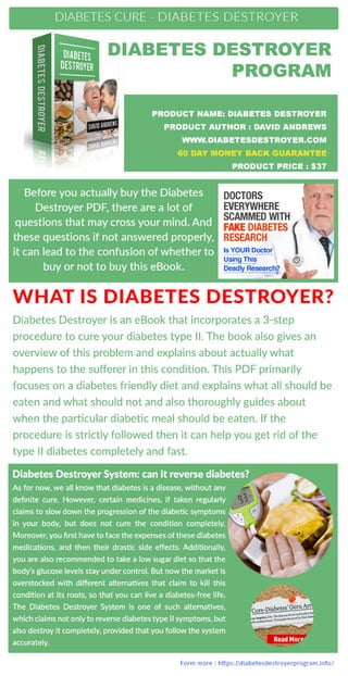 Diabetes destroyer program