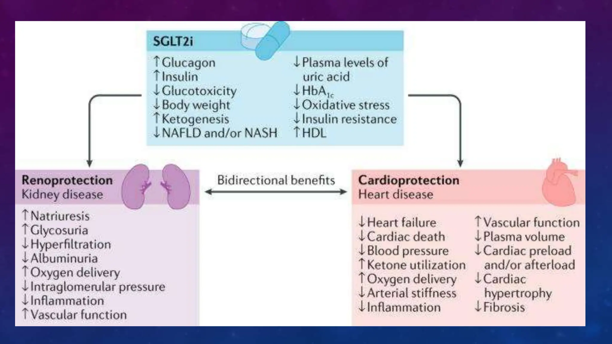 Diabetes disease modified drugs. Types and mechanism of action | PPTX