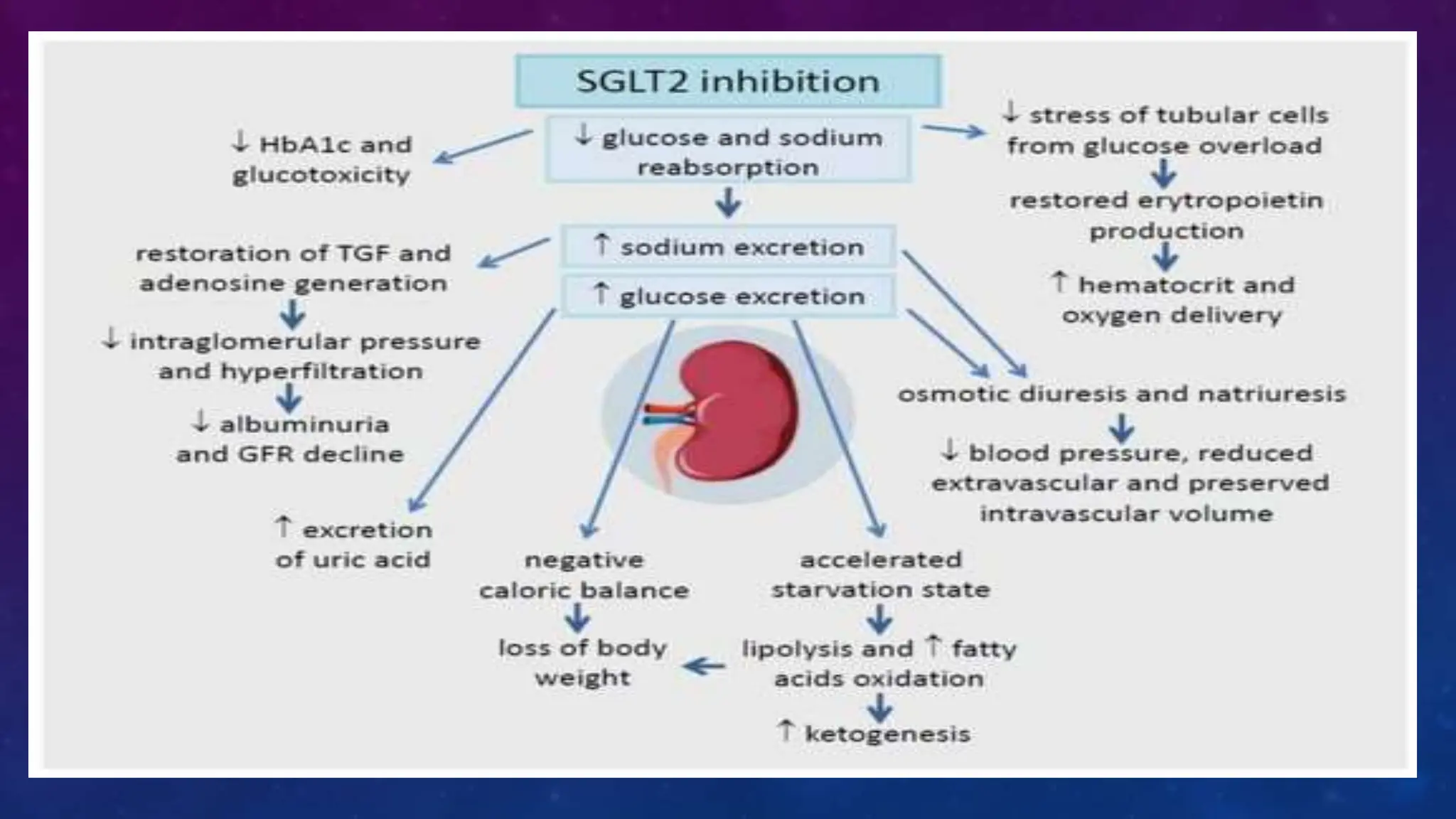 Diabetes disease modified drugs. Types and mechanism of action | PPTX