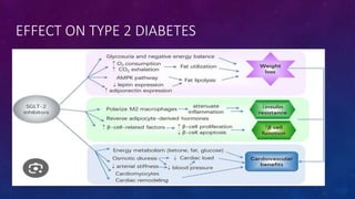 Diabetes disease modified drugs. Types and mechanism of action | PPTX