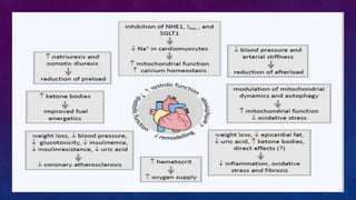 Diabetes disease modified drugs. Types and mechanism of action | PPTX