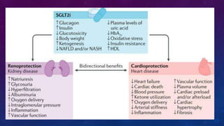 Diabetes disease modified drugs. Types and mechanism of action | PPTX