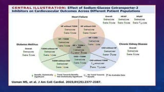 Diabetes disease modified drugs. Types and mechanism of action | PPTX