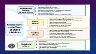 Diabetes disease modified drugs. Types and mechanism of action | PPTX