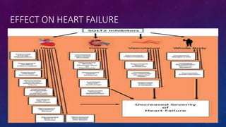 Diabetes disease modified drugs. Types and mechanism of action | PPTX