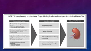 Diabetes disease modified drugs. Types and mechanism of action | PPTX