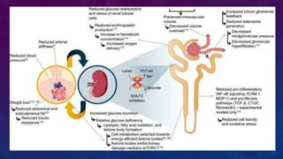 Diabetes disease modified drugs. Types and mechanism of action | PPTX