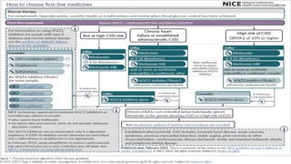 Diabetes disease modified drugs. Types and mechanism of action | PPTX