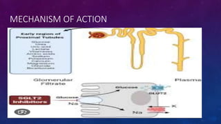 Diabetes disease modified drugs. Types and mechanism of action | PPTX