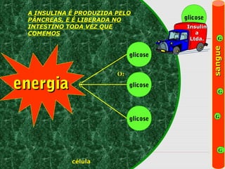 glicose
O2

energia

glicose
Insulin
a
Ltda.

G

sangue

A INSULINA É PRODUZIDA PELO
PÂNCREAS, E É LIBERADA NO
INTESTINO TODA VEZ QUE
COMEMOS

glicose
G

glicose

G

G

célula

 