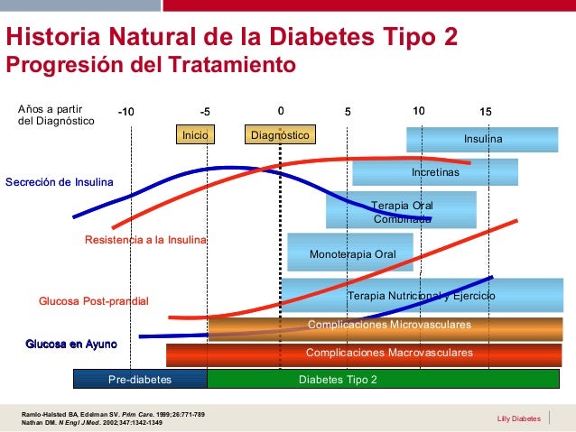 diabetes e insulinizacion 1 diabetes e insulinización