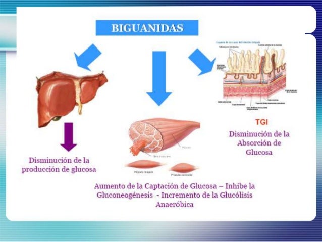 Metformina e Insulina en el anciano con Diabetes. Metformina e Insulina en el anciano con Diabetes.