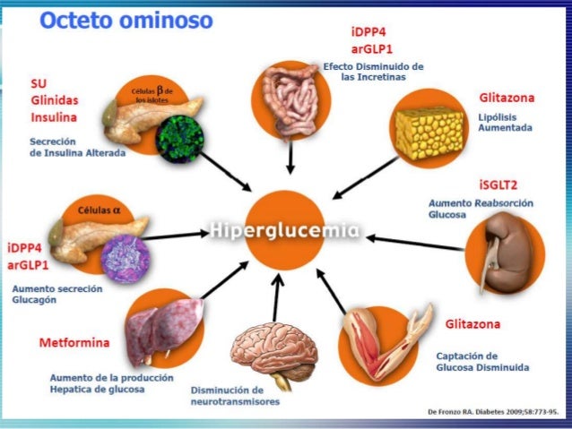 Metformina e Insulina en el anciano con Diabetes. Metformina e Insulina en el anciano con Diabetes.