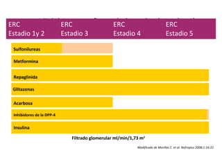 Antidiabéticos y enfermedad renal crónica (ERC)ERC
Estadio 1y 2
ERC
Estadio 3
ERC
Estadio 4
ERC
Estadio 5
Sulfonilureas
Metformina
Glitazonas
Repaglinida
Acarbosa
Inhibidores de la DPP-4
Insulina
Filtrado glomerular ml/min/1,73 m2
Modificado de Morillas C. et al. Nefroplus 2008;1:16-22
 