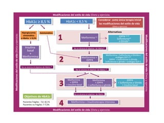 HbA1c < 8,5 %HbA1c < 8,5 %HbA1c ≥ 8,5 %HbA1c ≥ 8,5 %
Metformina (1)Metformina (1)
No se alcanza el objetivo de HbA1c*No se alcanza el objetivo de HbA1c*
Metformina
+ IDPP4
+ Insulina basal
Metformina
+ IDPP4
+ Insulina basal
Metformina
+ IDPP4
+ sulfonilurea o glinida
Metformina
+ IDPP4
+ sulfonilurea o glinida
Metformina + Insulinoterapia intensivaMetformina + Insulinoterapia intensiva
AsintomáticoAsintomáticoHiperglucemia
sintomática
o HbA1c ≥ 9,5%
Hiperglucemia
sintomática
o HbA1c ≥ 9,5%
Insulina
basal
+
Metformina
Insulina
basal
+
Metformina
No se alcanza el objetivo de HbA1c *No se alcanza el objetivo de HbA1c *
Metformina +
IDPP4
Metformina +
IDPP4
IDPP4 (2) (3)
Sulfonilurea(4)
o Glinida(5)
IDPP4 (2) (3)
Sulfonilurea(4)
o Glinida(5)
Metformina + Sulfonilurea o Glinida o
análogos GLP-1(6)
IDPP4 + Sulfonilurea o Glinida
Sulfonilurea o glinida + análogos GLP-1
Metformina + Sulfonilurea o Glinida o
análogos GLP-1(6)
IDPP4 + Sulfonilurea o Glinida
Sulfonilurea o glinida + análogos GLP-1
IDPP4
+ Sulfonilurea o Glinida
+ Insulina basal
IDPP4
+ Sulfonilurea o Glinida
+ Insulina basal
Alternativas
No se alcanza el objetivo de HbA1c *No se alcanza el objetivo de HbA1c *
No se alcanza el objetivo de HbA1cNo se alcanza el objetivo de HbA1c
Pacientes frágiles : 7,6 -8,5 %
Pacientes no frágiles: 7-7,5%
Modificacionesdelestilodevida(Dietayejercicio)
Modificaciones del estilo de vida (Dieta y ejercicio)
Modificaciones del estilo de vida (Dieta y ejercicio)
Modificacionesdelestilodevida(Dietayejercicio)
Considerar como única terapia inicial
las modificaciones del estilo de vida
(Dieta y ejercicio)
Considerar como única terapia inicial
las modificaciones del estilo de vida
(Dieta y ejercicio)
Objetivos de HbA1cObjetivos de HbA1c
 