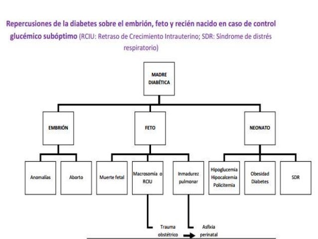 Diabetes en el embarazo Diabetes en el embarazo