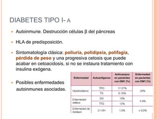 DIABETES TIPO I- A
 Autoinmune. Destrucción células β del páncreas
 HLA de predisposición.
 Sintomatología clásica: poliuria, polidipsia, polifagia,
pérdida de peso y una progresiva cetosis que puede
acabar en cetoacidosis, si no se instaura tratamiento con
insulina exógena.
 Posibles enfermedades
autoinmunes asociadas.
 