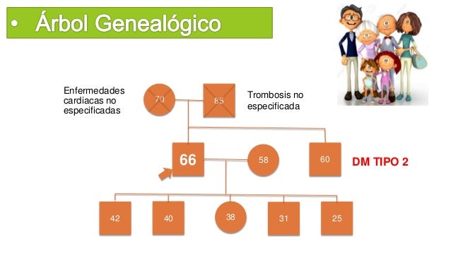 Diabetes mellitus tipo 2 genetica Diabetes mellitus tipo 2 genetica
