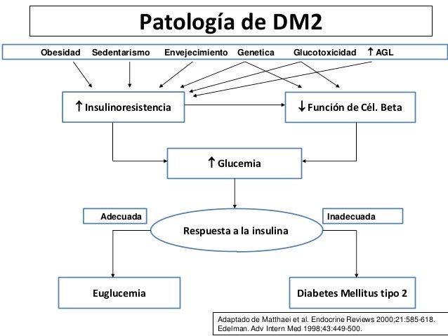 Diabetes fisiopatologia Diabetes fisiopatologia