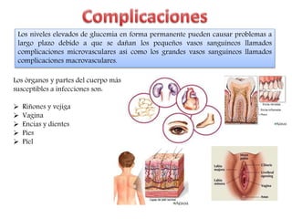 Los niveles elevados de glucemia en forma permanente pueden causar problemas a 
largo plazo debido a que se dañan los pequeños vasos sanguíneos llamados 
complicaciones microvasculares así como los grandes vasos sanguíneos llamados 
complicaciones macrovasculares. 
Los órganos y partes del cuerpo más 
susceptibles a infecciones son: 
 Riñones y vejiga 
 Vagina 
 Encías y dientes 
 Pies 
 Piel 
 