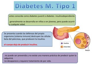 antes conocida como diabetes juvenil o diabetes insulinodependiente 
generalmente se desarrolla en niños o en jóvenes, pero puede ocurrir 
a cualquier edad. 
Se presenta cuando las defensas del propio 
organismo (sistema inmune) destruyen las células 
beta del páncreas, que producen la insulina. 
el cuerpo deja de producir insulina. 
no puede ser prevenida y no existe una manera práctica de predecir quien la 
adquirirá. 
no desaparece y requiere tratamiento de por vida. 
 