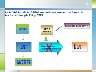 La inhibición de la DPP-4 aumenta las concentraciones de
las incretinas (GLP-1 y GIP)
Comida DPP-4
Enzima
Acciones de
GIP y GLP-1
GIP
GLP-1
Inhibidor de la DPP-4
GIP
GLP-1
XDegradación
rápida en minutos
 