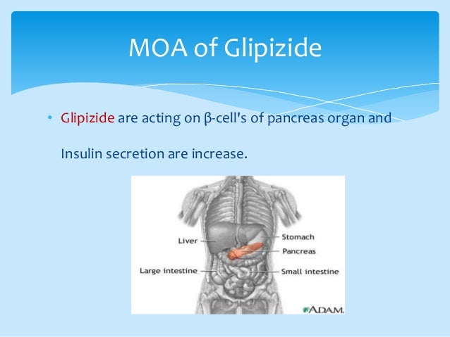 Glipizide And Metformin Together