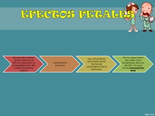 Exceso de insulina
producida por el
feto en respuesta a
la hiperglicemia del
medio ambiente
uterino
crecimiento
excesivo
por virtud de la
actividad como
factor de
crecimiento de la
hormona.
Por la capacidad
de unirse a los
receptores ubicuos
de IGF-1 lo que
incita macrosomía
fetal
 