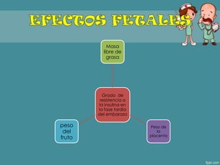Grado de
resistencia a
la insulina en
la fase tardía
del embarazo
Masa
libre de
grasa
Peso de
la
placenta
peso
del
fruto
 