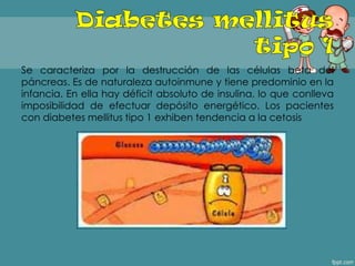 Se caracteriza por la destrucción de las células beta del
páncreas. Es de naturaleza autoinmune y tiene predominio en la
infancia. En ella hay déficit absoluto de insulina, lo que conlleva
imposibilidad de efectuar depósito energético. Los pacientes
con diabetes mellitus tipo 1 exhiben tendencia a la cetosis
 