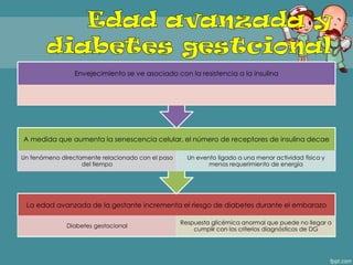 La edad avanzada de la gestante incrementa el riesgo de diabetes durante el embarazo
Diabetes gestacional
Respuesta glicémica anormal que puede no llegar a
cumplir con los criterios diagnósticos de DG
A medida que aumenta la senescencia celular, el número de receptores de insulina decae
Un fenómeno directamente relacionado con el paso
del tiempo
Un evento ligado a una menor actividad física y
menos requerimiento de energía
Envejecimiento se ve asociado con la resistencia a la insulina
 