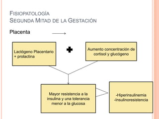 FISIOPATOLOGÍA
SEGUNDA MITAD DE LA GESTACIÓN
Placenta
Lactógeno Placentario
+ prolactina
Aumento concentración de
cortisol y glucógeno
Mayor resistencia a la
insulina y una tolerancia
menor a la glucosa
-Hiperinsulinemia
-Insulinoresistencia
 