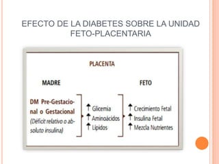 EFECTO DE LA DIABETES SOBRE LA UNIDAD
FETO-PLACENTARIA
 