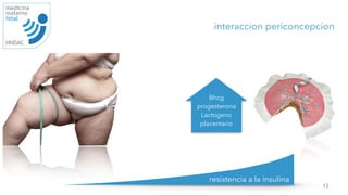 12
medicina
materno
fetal
HNDAC
resistencia a la insulina
Bhcg
progesterona
Lactogeno
placentario
interaccion periconcepcion
 