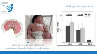 15
medicina
materno
fetal
HNDAC
dialogo: feto-placenta
proteccion o respuestas adaptativas
garantizar el desarrollo fetal en un medio estable
obesity are independent risk factors for neonatal perc
The higher neonatal body fat is of key importance
being seems to be determined very early in the life cy
Fig. 1. Proportion (%) of body fat in neonates born to pregnancies wit
with gestational diabetes mellitus (GDM). GDM neonates have more bo
also with appropriate-for-gestational age birth weight (AGA). No data
 