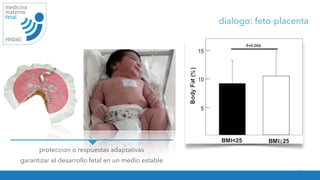 16
medicina
materno
fetal
HNDAC
dialogo: feto-placenta
proteccion o respuestas adaptativas
garantizar el desarrollo fetal en un medio estable
obesity are independent risk factors for neonatal percentage body fat and contribute additively [19
The higher neonatal body fat is of key importance because the number of adipocytes for a huma
being seems to be determined very early in the life cycle if not already in utero [20]. The trajectory
Fig. 1. Proportion (%) of body fat in neonates born to pregnancies with normal glucose tolerance of the mother (NGT) and moth
with gestational diabetes mellitus (GDM). GDM neonates have more body fat not only when born large-for-gestational age (LGA) b
also with appropriate-for-gestational age birth weight (AGA). No data are available for small-for-gestational age (SGA) neonates
GDM pregnancies (left panel). Neonates from lean (BMI < 25) mothers have a lower percentage body fat than their counterpa
born to overweight (BMI  25) mothers (right panel). Data taken from Refs. [15,18].
 
