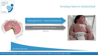 17
medicina
materno
fetal
HNDAC
The Feto-placental Dialogue and Diabesity. Best Practice  Research Clinical Obstetrics and Gynaecology 29 (2015)
fenotipo fetal en diabesidad
hiperglicemia - hiperinsulinemia
aminoacidos y acidos grasos
arginina
gradiente glucosa
 
