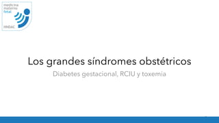 Los grandes síndromes obstétricos
Diabetes gestacional, RCIU y toxemia
9
medicina
materno
fetal
HNDAC
 