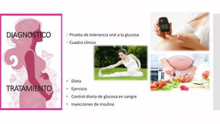 DIAGNOSTICO
TRATAMIENTO
 Prueba de tolerancia oral a la glucosa
 Cuadro clínico
• Dieta
• Ejercicio
• Control diario de glucosa en sangre
• Inyecciones de insulina
 