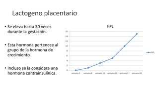 Lactogeno placentario
• Se eleva hasta 30 veces
durante la gestación.
• Esta hormona pertenece al
grupo de la hormona de
crecimiento
• Incluso se la considera una
hormona contrainsulínica.
 