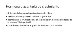 Hormona placentaria de crecimiento
• Difiere de la hormona hipofisiaria en solo 13 aa
• Se eleva entre 6 y 8 veces durante la gestación
• Reemplaza a la HC hipofisiaria en la circulación materna alrededor de
la semana 20 de gestación
• Contribuye a aumentar el grado de resistencia a la insulina
 