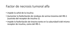 Factor de necrosis tumoral alfa
• impide la señal de la insulina
• Aumentar la fosforilación de residuos de serina-treonina del IRS-1
(sustrato del receptor de insulina 1)
• Impide la fosforilación de tirosina tanto en la subunidad b del mismo
receptor de insulina, como del IRS-1.
 