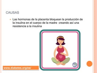 CAUSAS
 Las hormonas de la placenta bloquean la producción de
la insulina en el cuerpo de la madre creando así una
resistencia a la insulina
www.diabetes.org/es/
 