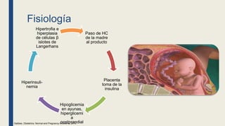 Fisiología
Paso de HC
de la madre
al producto
Placenta
toma de la
insulina
Hipoglicemia
en ayunas,
hiperglicemi
a
postprandial
Hiperinsuli-
nemia
Hipertrofia e
hiperplasia
de células β
islotes de
Langerhans
Gabbes, Obstetrics: Normal and Pregnancy Problems, 2016.
 