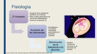 Fisiología
2º trimestre
• Aumento de la resistencia
periférica a la insulina.
• Altos niveles plasmáticos de
hormonas diabetógenas.
• Acmé en la semana 32.
Aumento de
las demandas
• Energéticas y
de insulina
necesarias
para producir el
aumento
corporal.
Disminución
de la
tolerancia a la
glucosa.
• Insulino-
resistencia.
• Aumento en la
secreción de
insulina.
Centre de Medicina Fetal i Neonatal de Barcelona. PROTOCOLO: DIABETES GESTACIONAL, 2018.
 