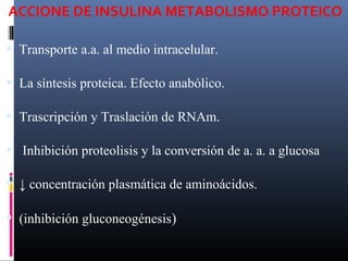 ACCIONE DE INSULINA METABOLISMO PROTEICO
 Transporte a.a. al medio intracelular.
 La síntesis proteica. Efecto anabólico.
 Trascripción y Traslación de RNAm.
 Inhibición proteolisis y la conversión de a. a. a glucosa
 ↓ concentración plasmática de aminoácidos.
 (inhibición gluconeogénesis)
 