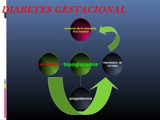 estrógenos
progesterona
Hiperplasia de
Cel beta
Aumento de la respuesta
A la insulina
hipoglucemia
DIABETES GESTACIONAL
 