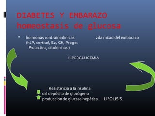 DIABETES Y EMBARAZO
homeostasis de glucosa
 hormonas contrainsulínicas 2da mitad del embarazo
(hLP, cortisol, E2, GH, Proges
Prolactina, citokininas )
HIPERGLUCEMIA
Resistencia a la insulina
del depósito de glucógeno
produccion de glucosa hepática LIPOLISIS
 
